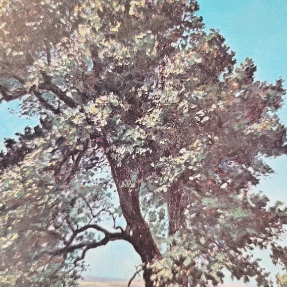 Tucuman Farm Scene" by John Schmitz-Lohm - Picture 11 of 13